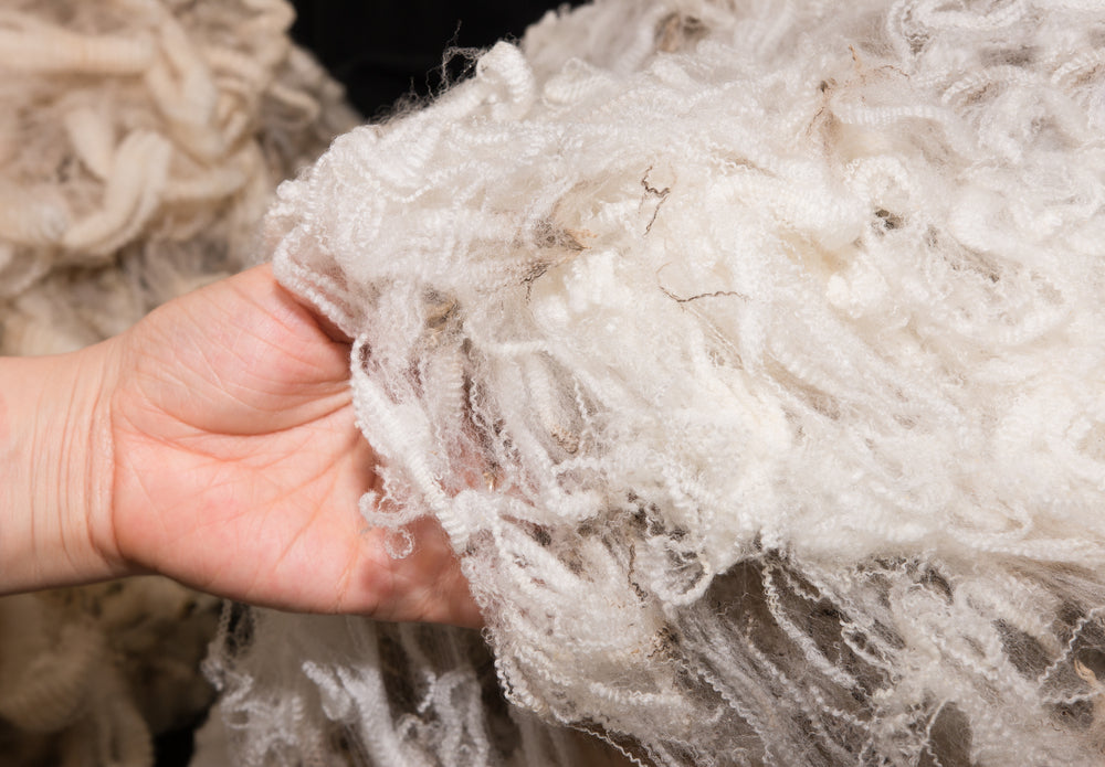 Ethical sourced Merino Wool Fiber before processing into yarn.